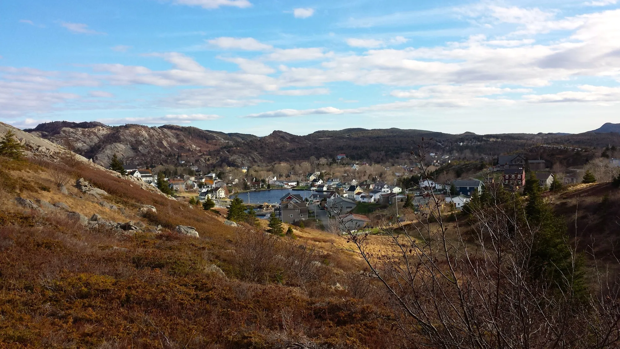 Brigus town and harbour seen from the hill above, sunny.