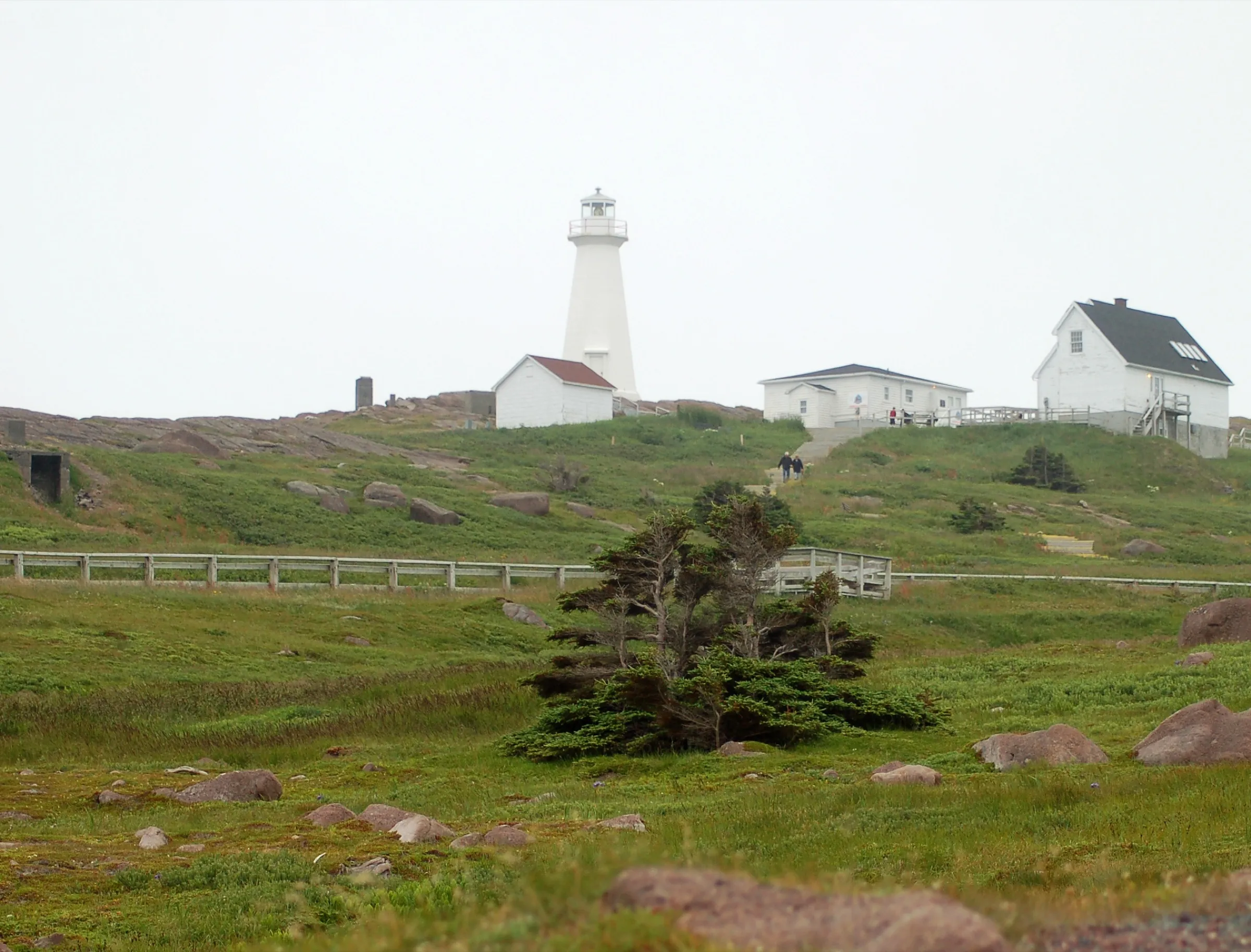 Cape Spear lighthouse, white with a red roof, standing on the bare headland above the Atlantic at the easternmost point of North America.
