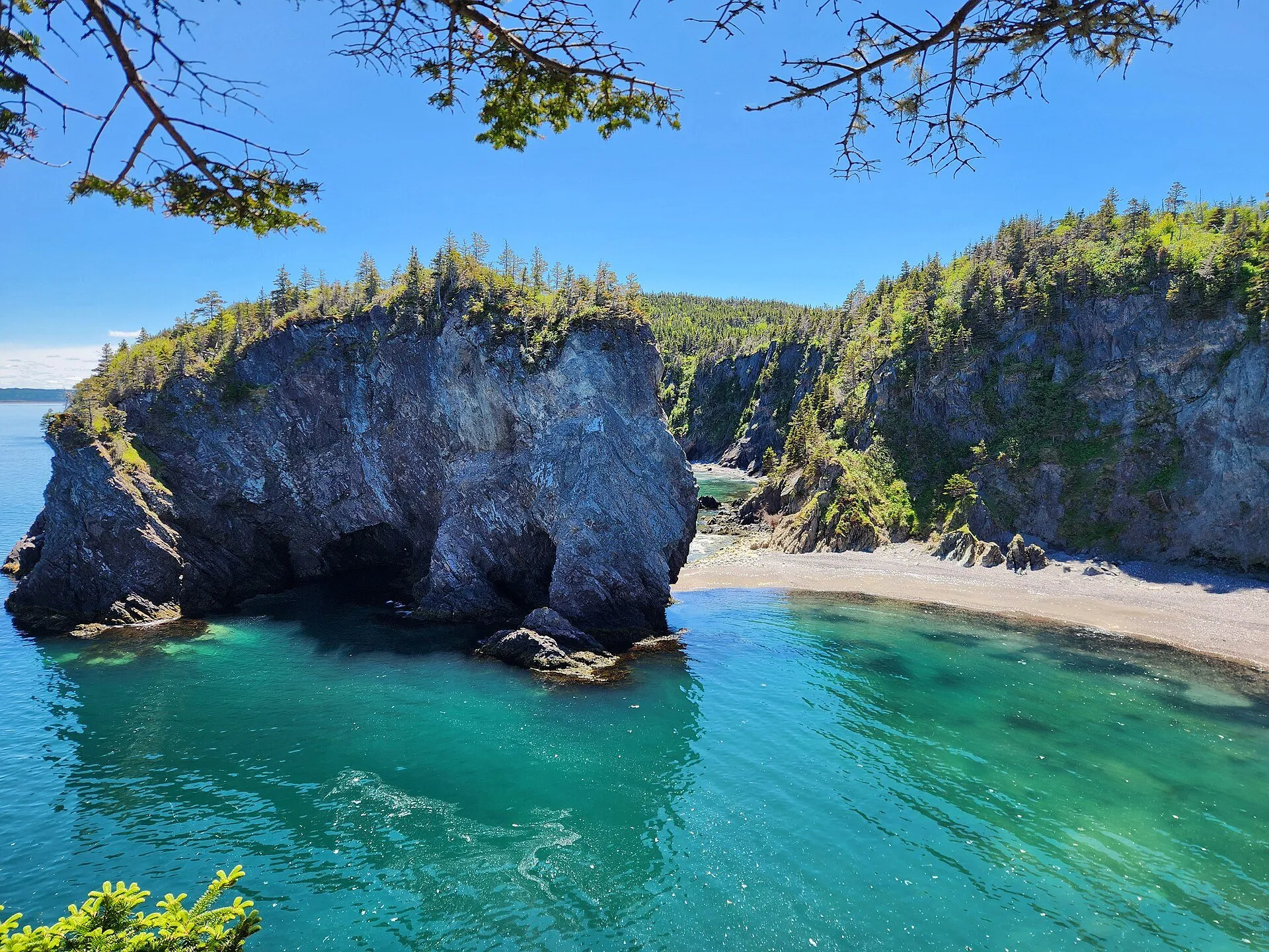 A forested sea stack with an arch rises from green water beside a pebble beach on the Chance Cove coast.