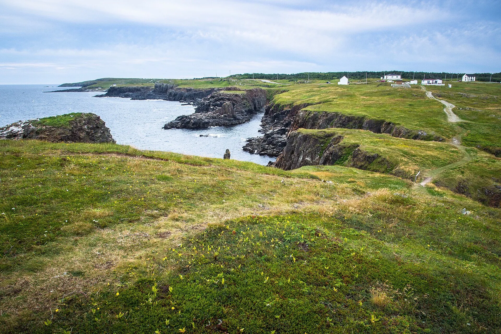 Green clifftop headlands and inlets along the coast at Elliston, with a footpath leading toward the puffin viewing point and white houses on the far ridge.