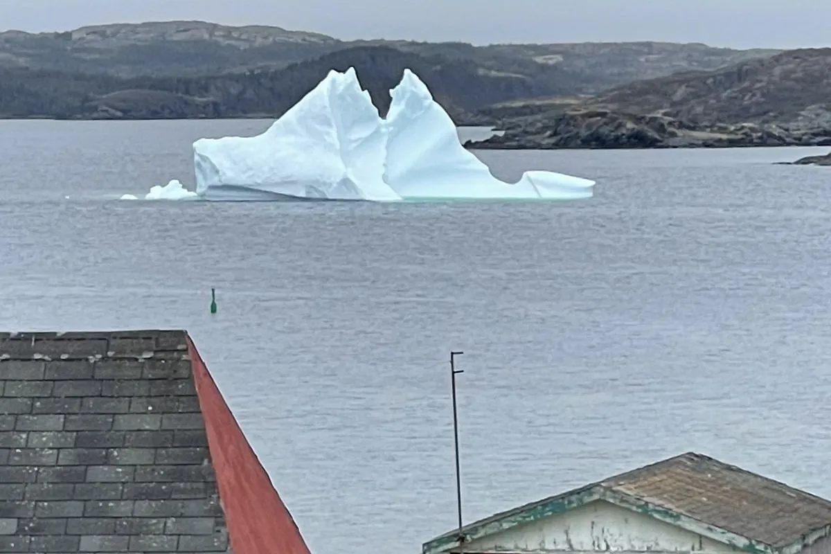 A twin-peaked iceberg in a harbour near St. Anthony, seen over the roofs of two fishing sheds.