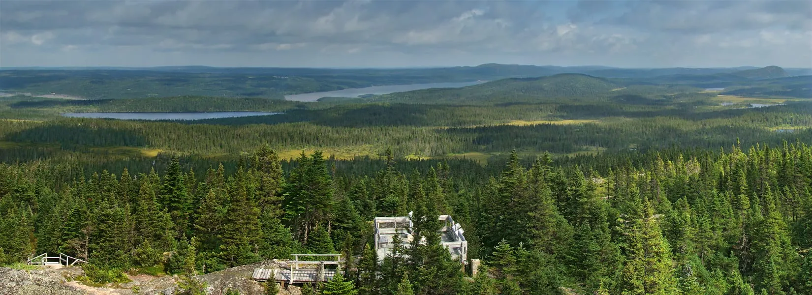 Panorama from Ochre Hill over forest, ponds and bog to distant water, with the lookout tower in the foreground.