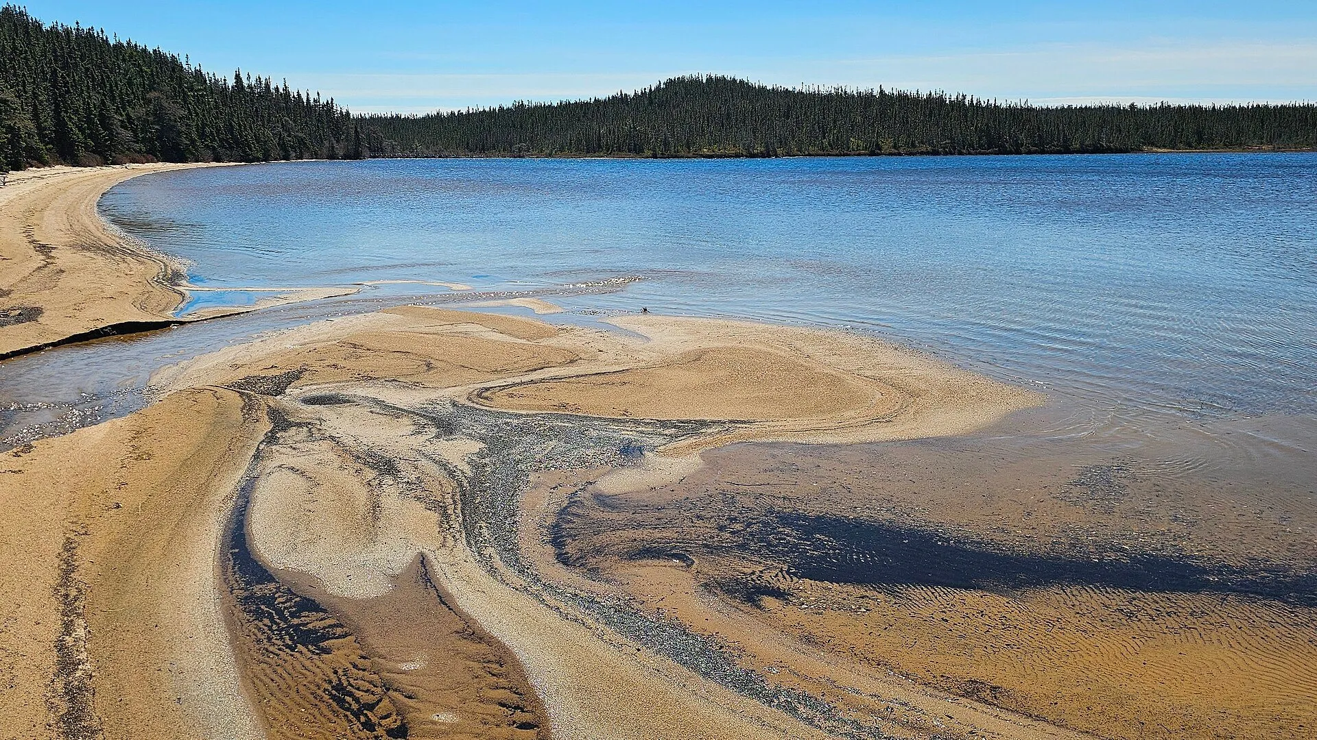 A sandy beach curving into calm blue water at Sandy Pond, with spruce forest along the far shore in Terra Nova National Park.