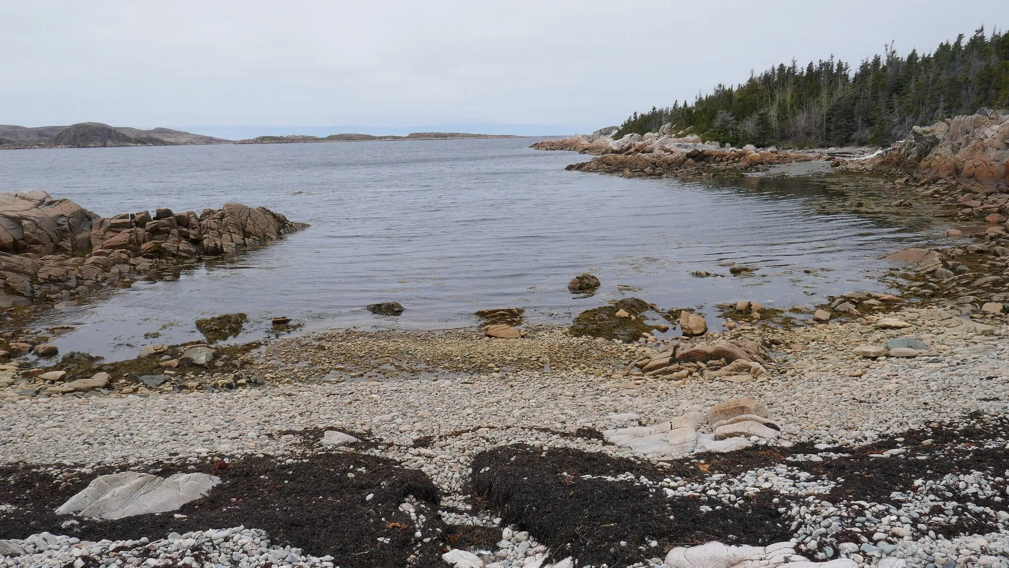 The pebble beach at the end of Waterman's Brook Trail, a calm cove ringed by rocks and spruce.