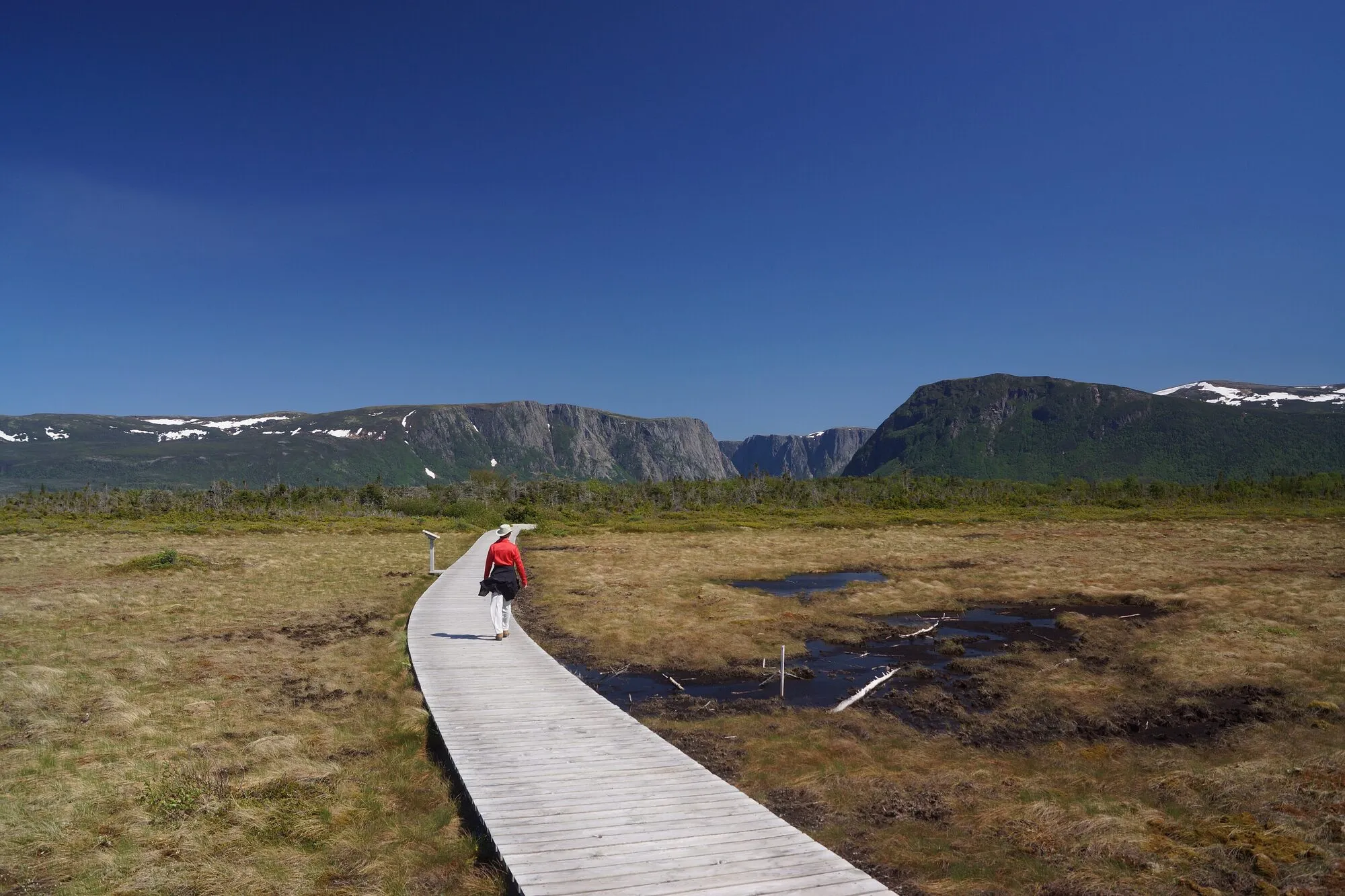 A boardwalk crossing open bog toward the cliffs of Western Brook Pond's gorge, a hiker on it.