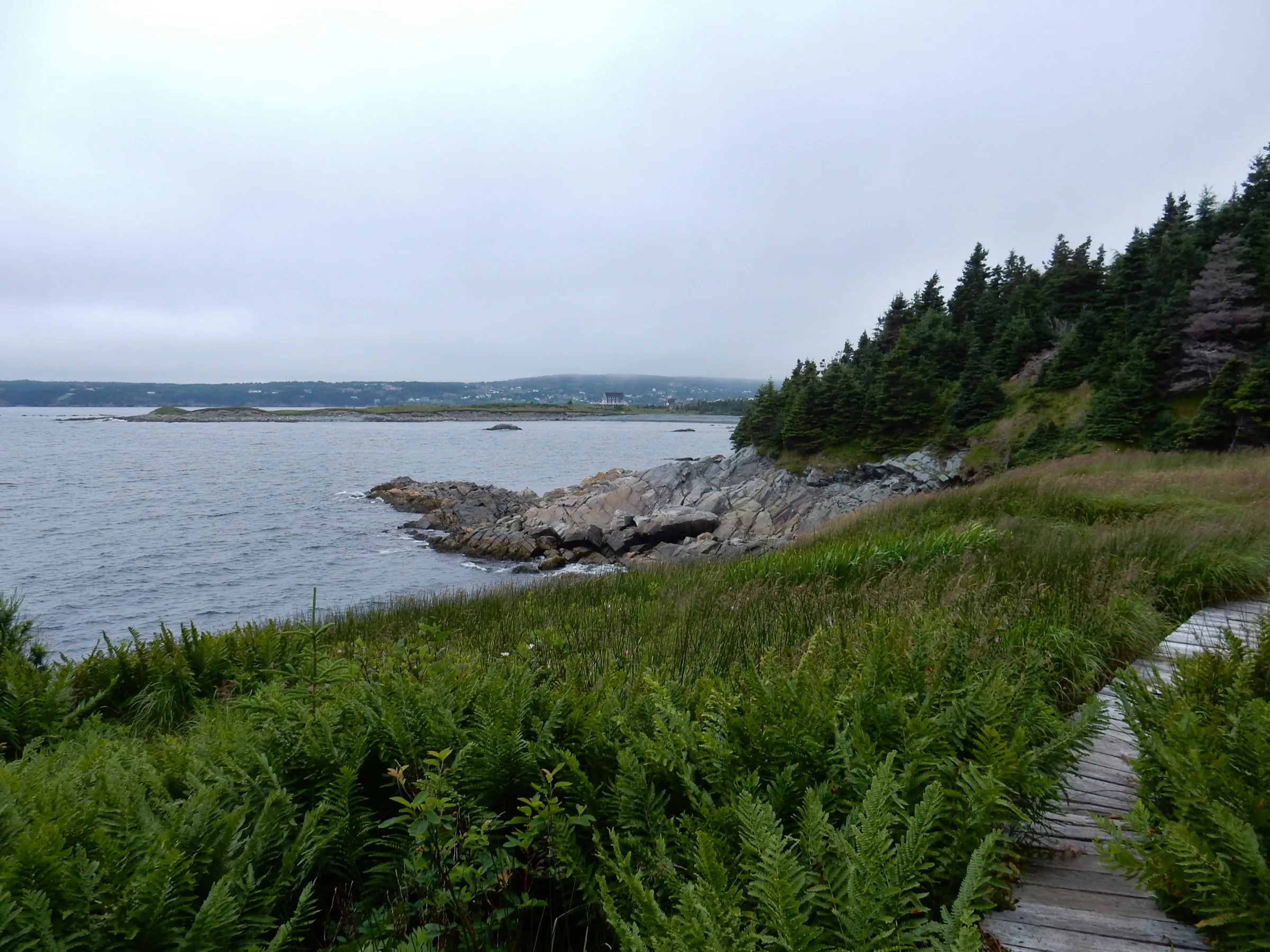 The East Coast Trail on the headland at Witless Bay, the path running along the cliff edge above the Atlantic.