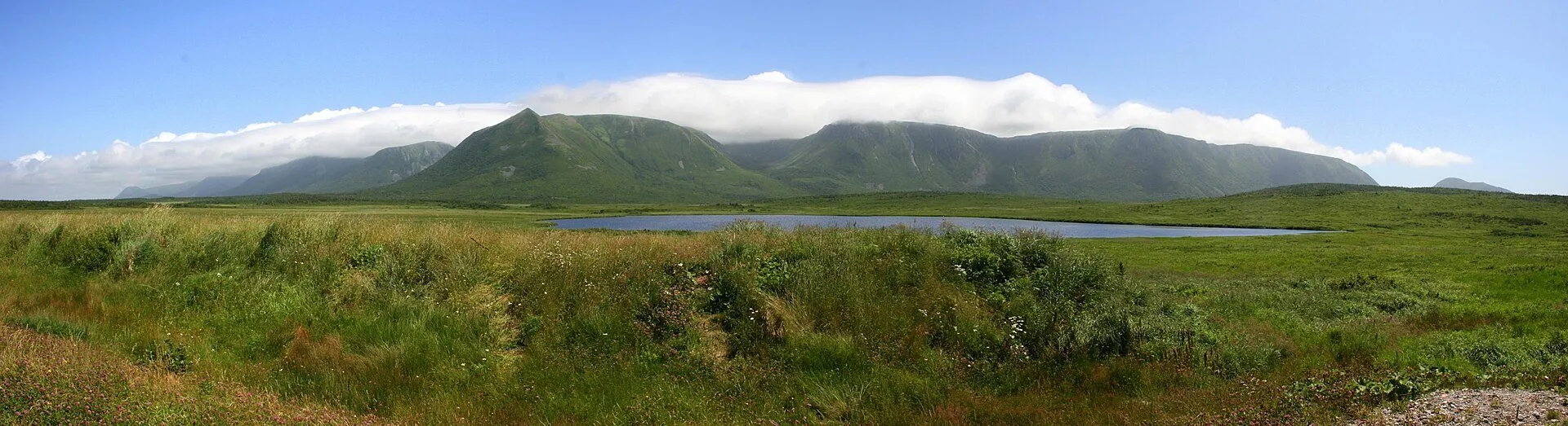 Table Mountain's long flat-topped ridge rising above green marshland and a pond at Wreckhouse.