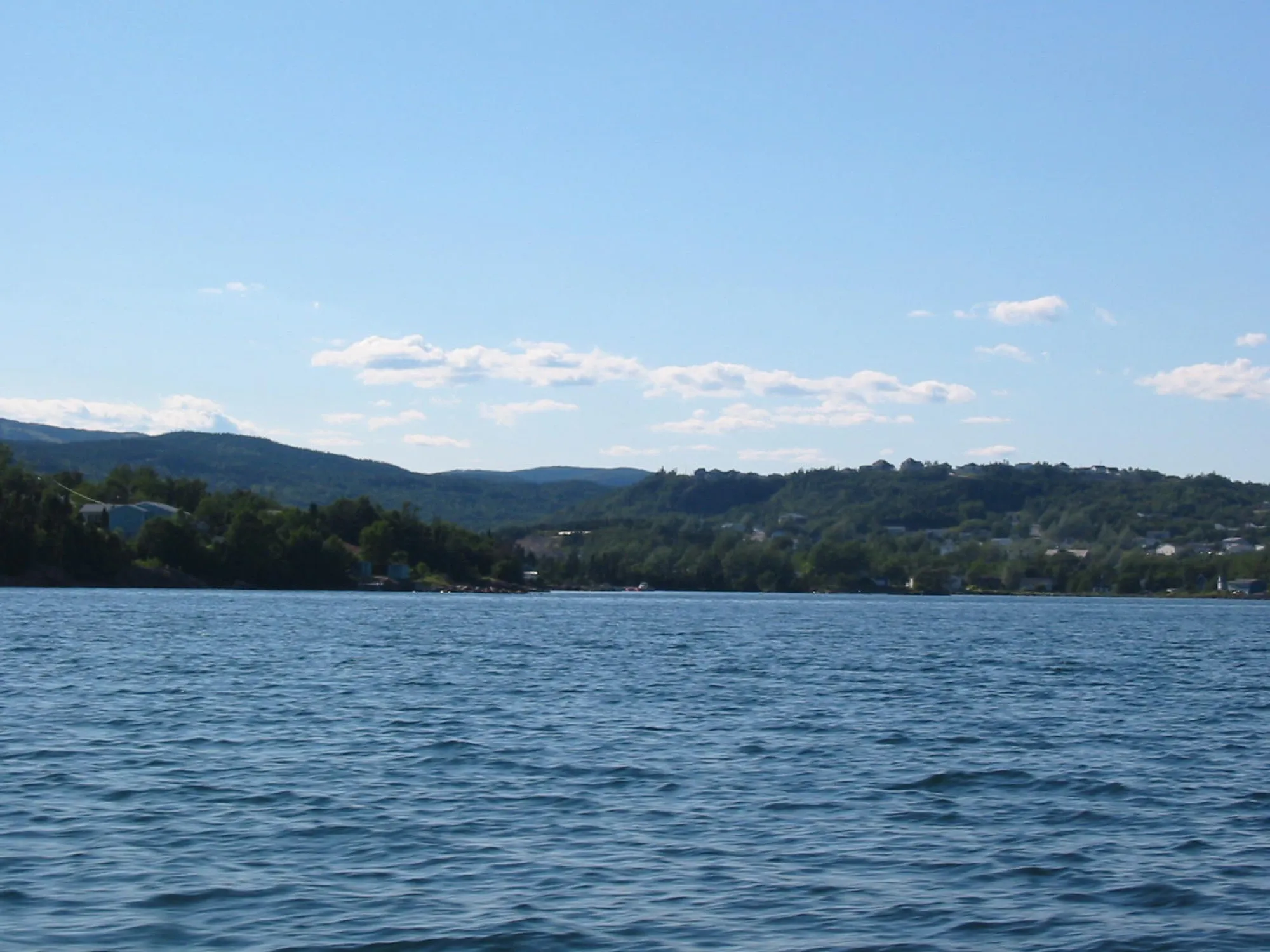 Clarenville's wooded hillside and houses seen from the water, sunny.